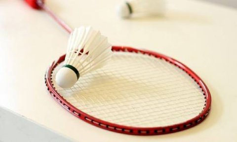 羽毛球館運(yùn)動(dòng)木地板品牌