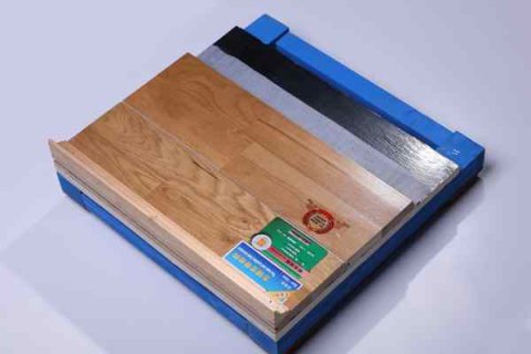 鼓勵(lì)學(xué)校體育館向公眾開(kāi)放，對(duì)運(yùn)動(dòng)木地板