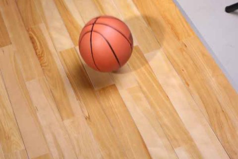 運(yùn)動(dòng)木地板繼承樹結(jié)更吸引人