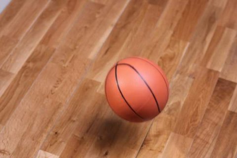 專業廠家可為客戶免費提供運動木地板樣品