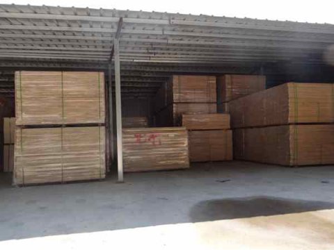 體育場館鋪裝運動木地板，結構及施工流程復雜