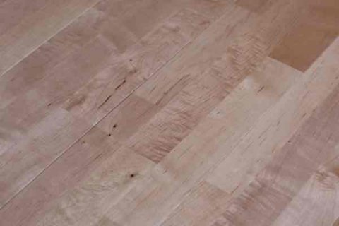 壁球運動發展史