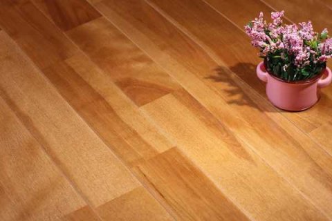 獲頒“中國森林認證”，品牌運動木地板更環保