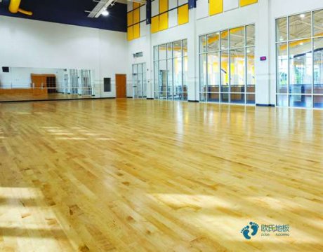 沈陽運動地板品牌排名