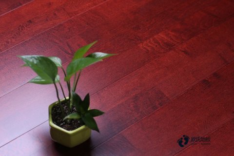 齊齊哈爾運(yùn)動(dòng)館專用地板