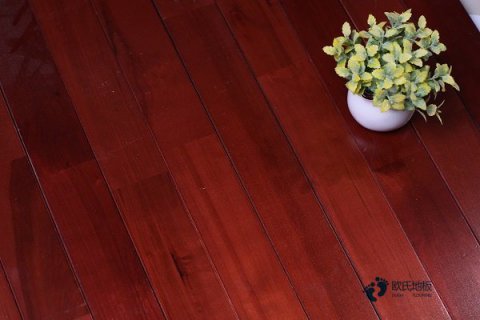 運(yùn)動木地板養(yǎng)護(hù)重在細(xì)節(jié)