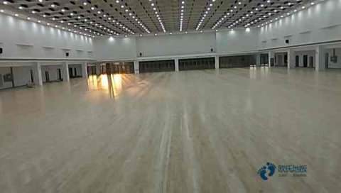 運動木地板蟲蛀能預防嗎