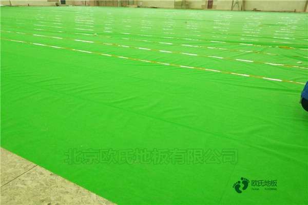 1.20運(yùn)動木地板原木構(gòu)成