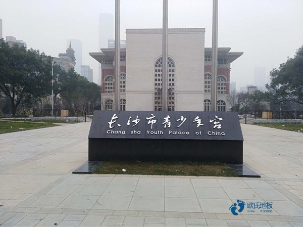 需要運(yùn)動(dòng)木地板的快點(diǎn)上車(chē)