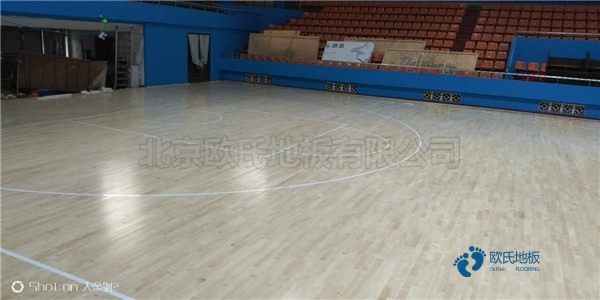 常見的運(yùn)動木地板材料有哪些？