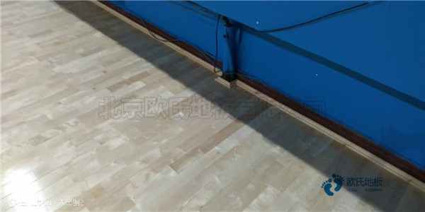 常見的運(yùn)動木地板材料有哪些？