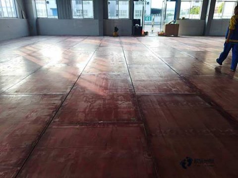 德國原木限制砍伐對(duì)我國影響幾何