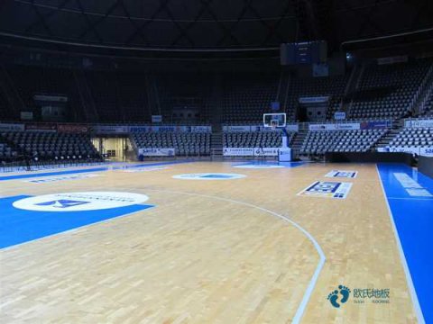 體育館籃球木地板