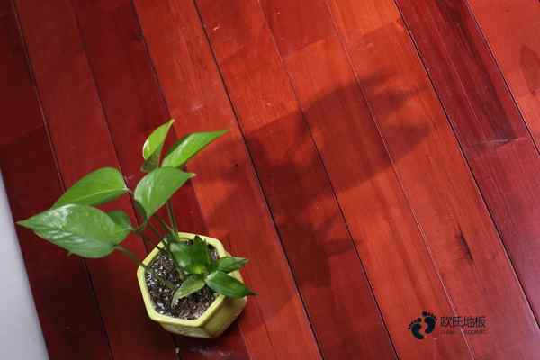 楓木運(yùn)動(dòng)籃球木地板價(jià)格行情