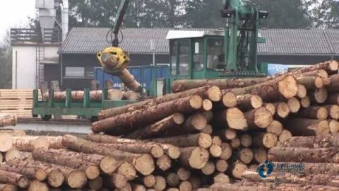 籃球場木地板施工工藝