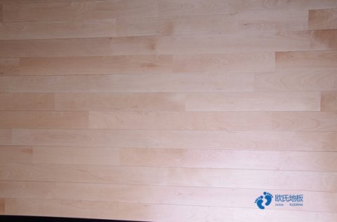 學校籃球館地板施工團隊