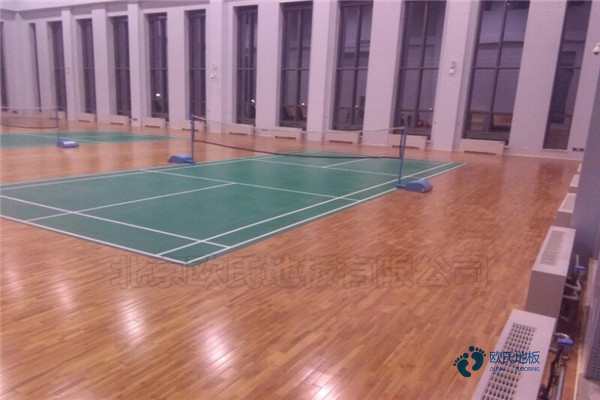 楓樺木運動籃球木地板需要多少錢