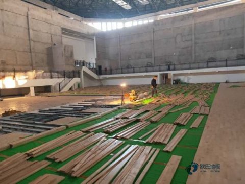 體育籃球木地板的價格