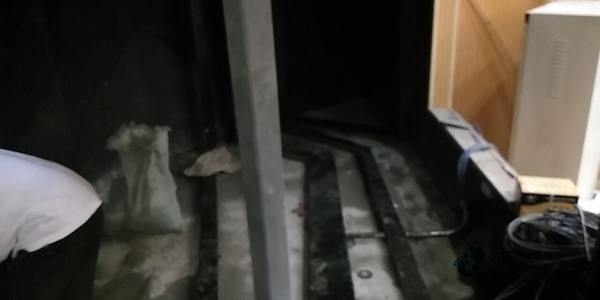 國產運動籃球木地板價格