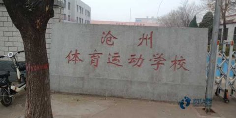 25厚運動場館地板較好的有哪些牌子