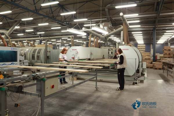 籃球場木地板鋪地膠2