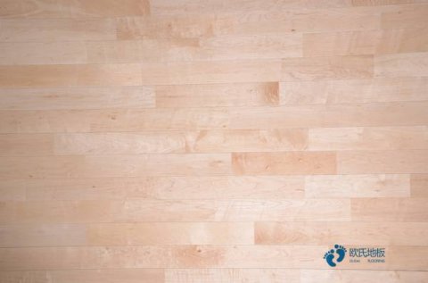 松木運動籃球木地板報價單