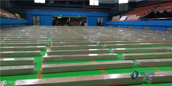 運(yùn)動地板品牌哪個好1